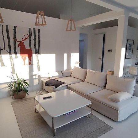 Loft 85 M2 Wilanow Krolewski Self Checkin 华沙 外观 照片