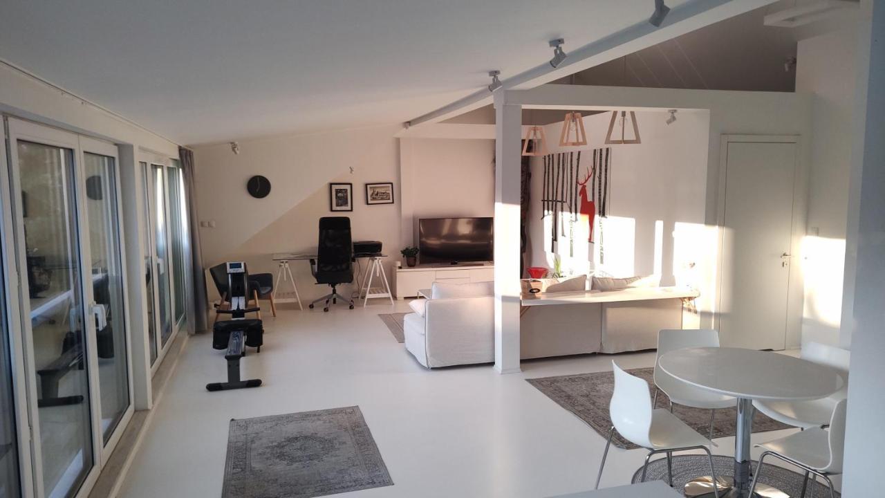 Loft 85 M2 Wilanow Krolewski Self Checkin 华沙 外观 照片